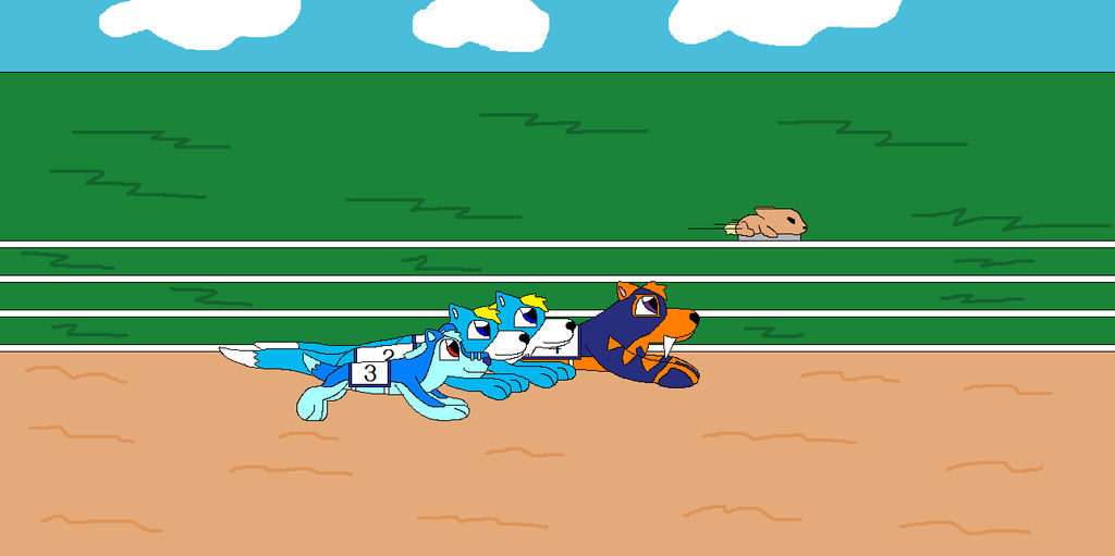 Dog Race by cartoonlover307 on DeviantArt