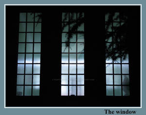 The window