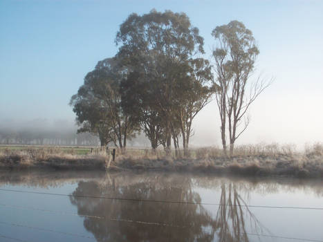 Sun+Fog Kissed Winters Morning