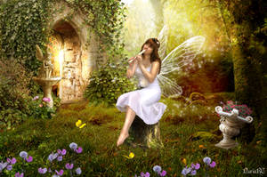 Fairy Garden