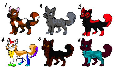 6 OTA Cat Adopts