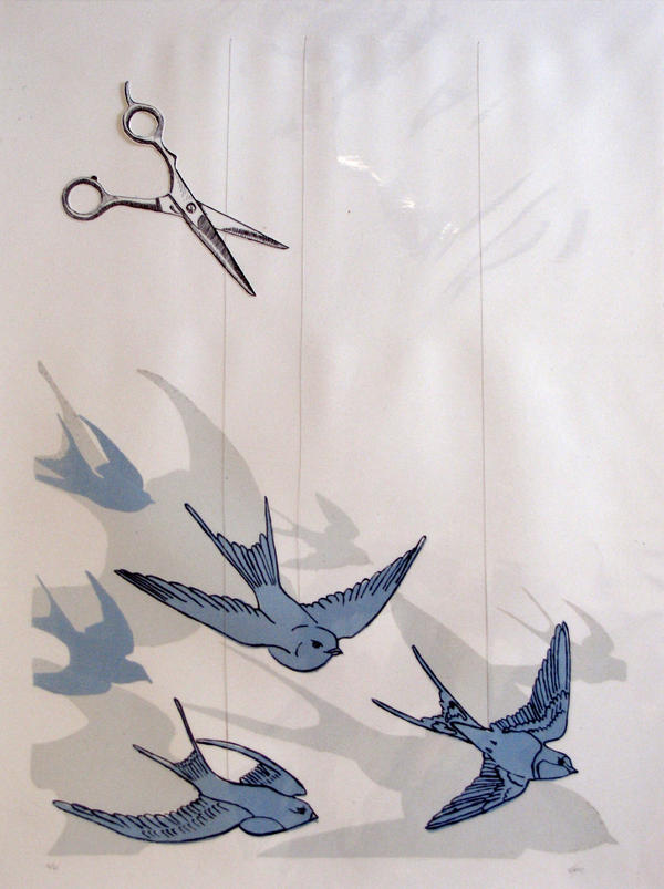 Bird Falling Deviantart Birds Falling from the Sky by Translations on DeviantArt