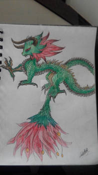 chinese flowerdragon