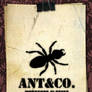 Ant and Co