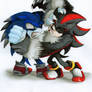 Shadow vs Sonic