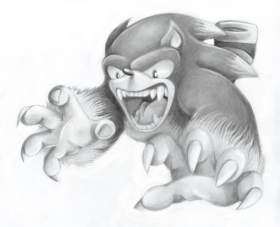 werehog 6