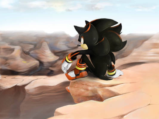 Sonic BOOM: Shadow the Hedgehog