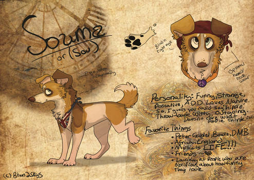 Souma Ref 2012