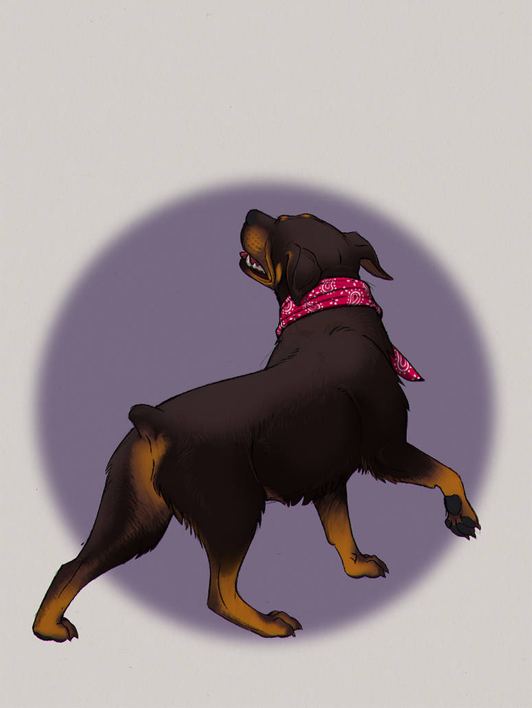 Rottweiler by GantzAistar on DeviantArt
