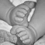 The Little Feet