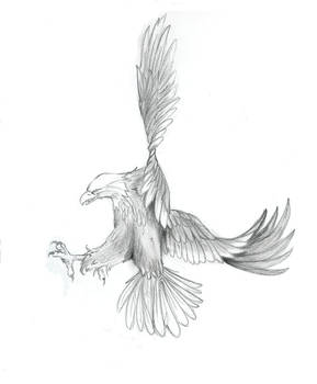 Eagle