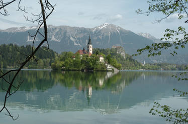 Bled