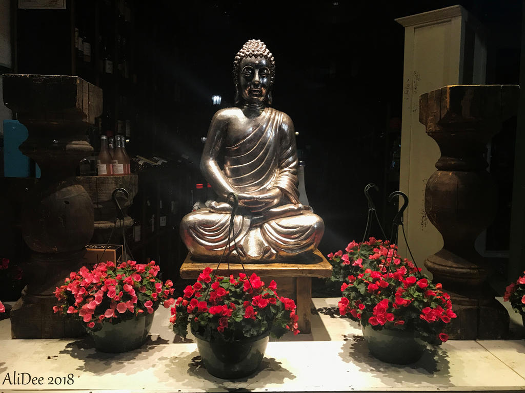 Storefront Buddha Display by AliDee33