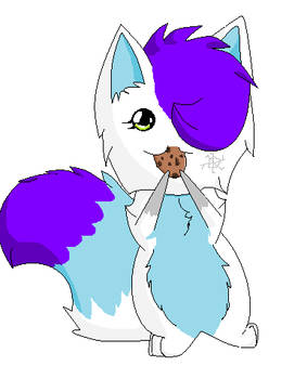 Snow Likes Cookies