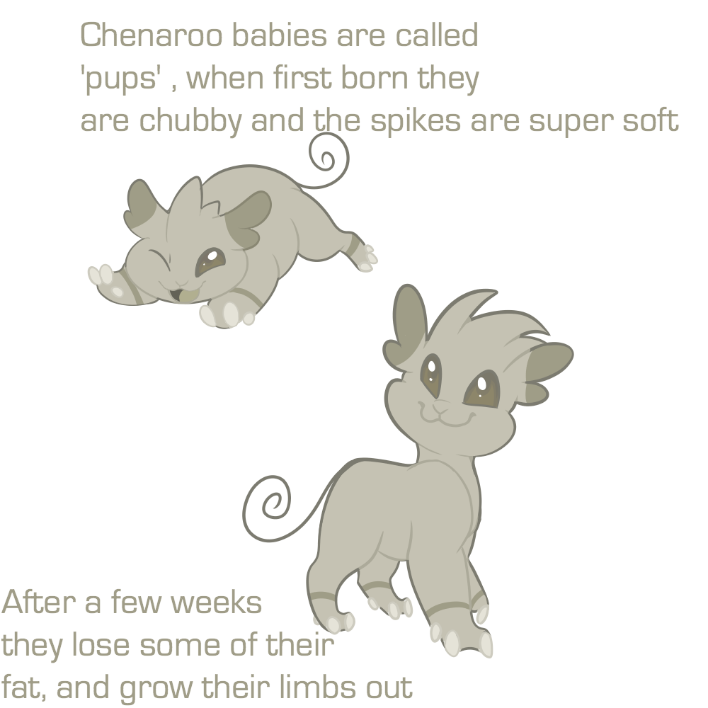 Chenaroo (Pups) guide