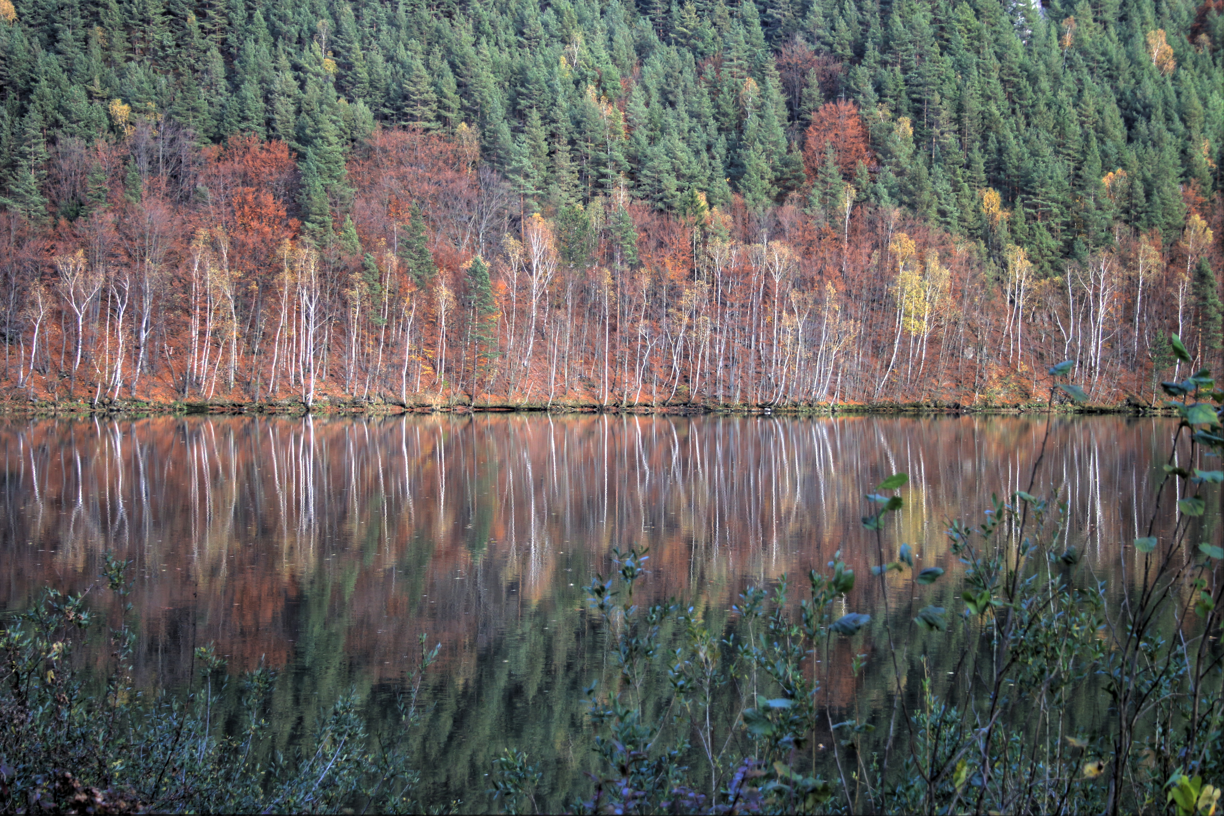 Autumn colours