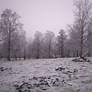 Winter Landscape-7