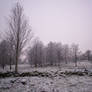 Winter Landscape-10