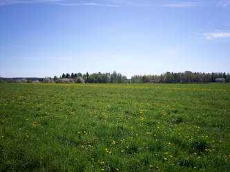 Spring Landscape-18