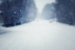 Snow by betweenthebookpages