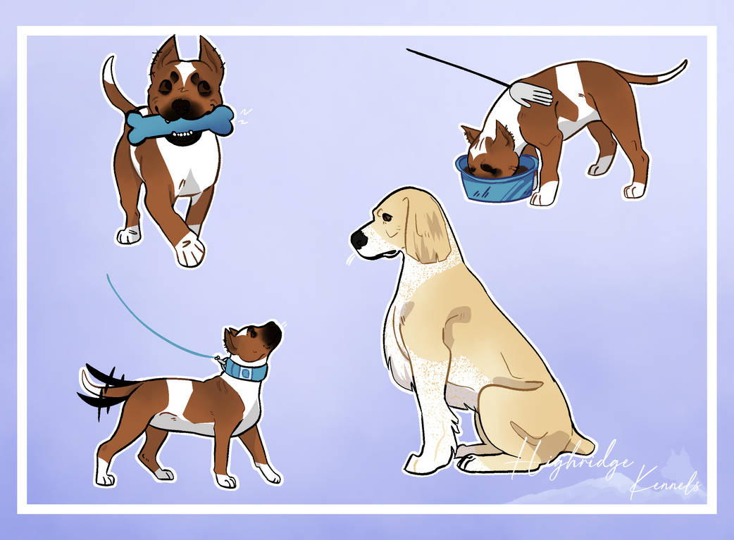 Flicker's Puppy Behavior Test by soniclver on DeviantArt