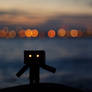 lord of the Bokeh