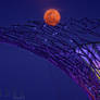 Moon Cradle