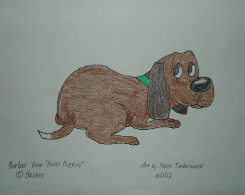 Pound Puppies - Barlow