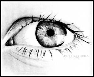 eye -a pencil drawing-