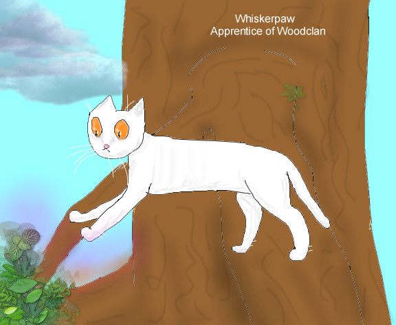 CotC Whiskerpaw