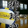 VolleyBall Soul