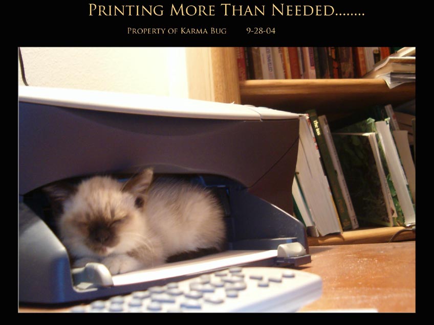 Printing more than needed.....