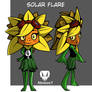 SOLAR FLARE