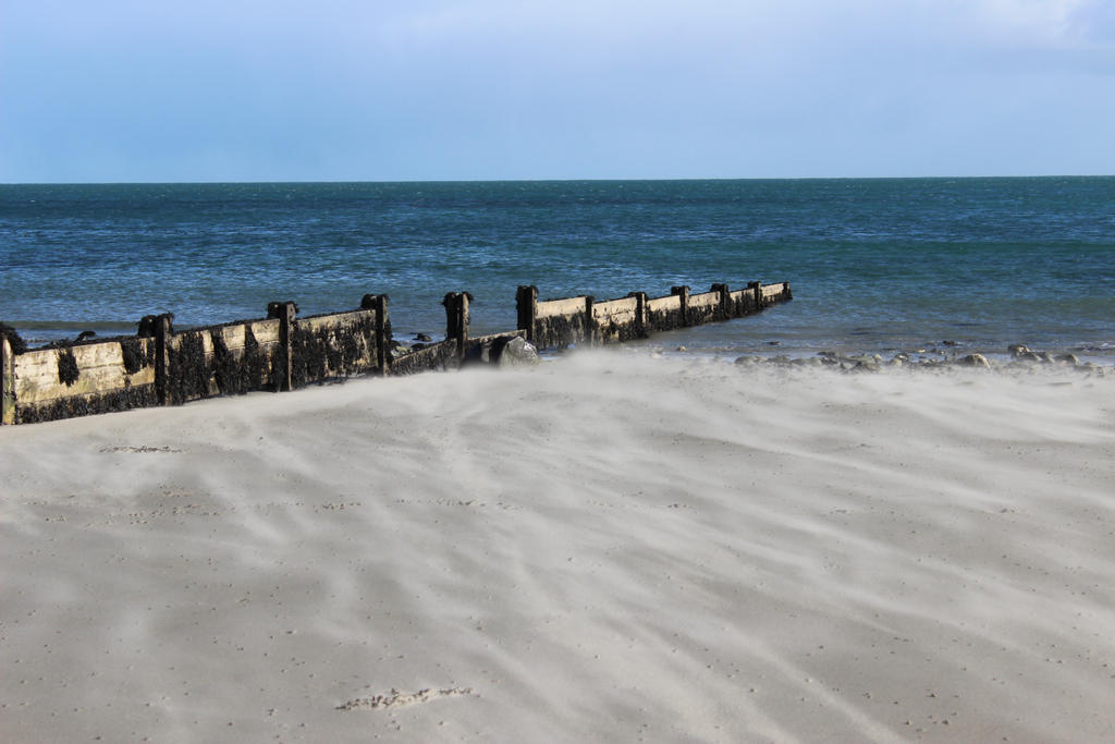 Windy Day