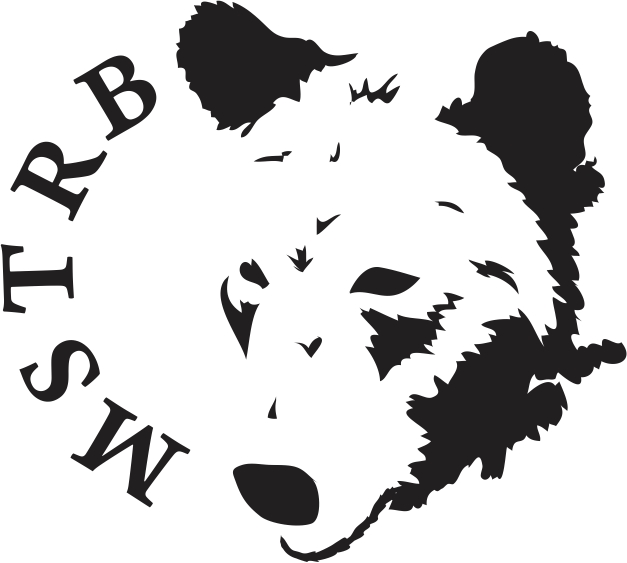 Strb Logo MSTRB menswear logo design 2 by SammyJackles on DeviantArt