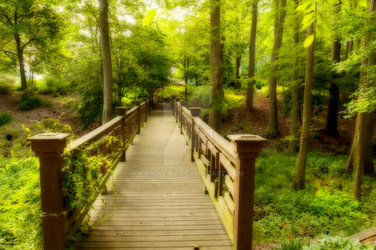 Walkway to Garden of Peace