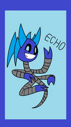 Echo (Nina Style)