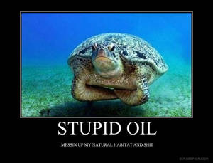 stupid oil