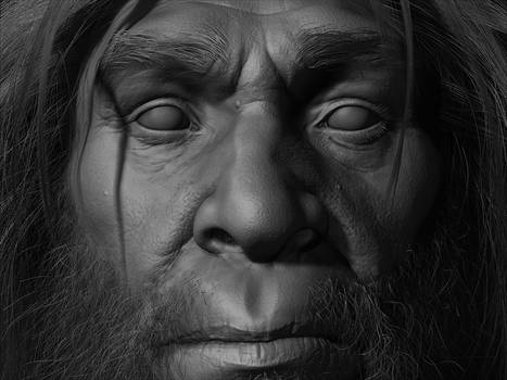 Homo Erectus Zbrush Closeup