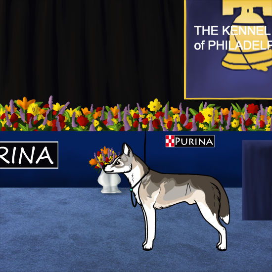 2025 Purina Dog Show