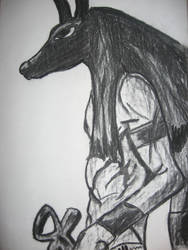 Anubis