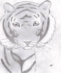 Ruby The Tigress