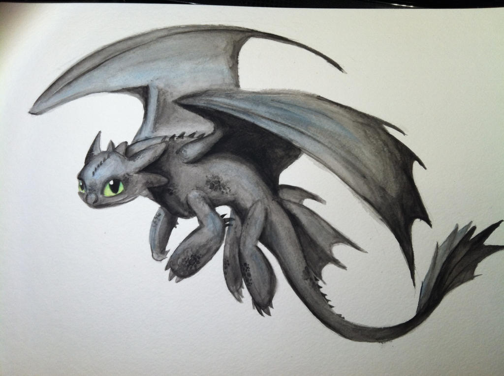 Toothless the Dragon