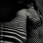 human zebra by photo-soulz