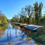 Autumn At The C And O Canal