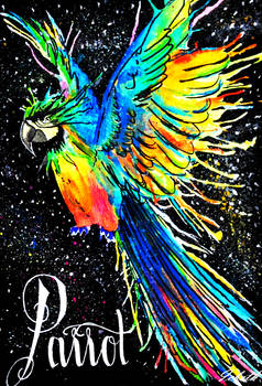 Parrot in the space