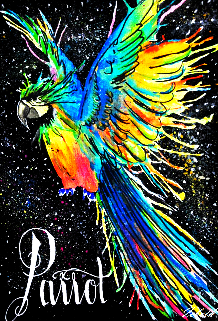 Parrot in the space