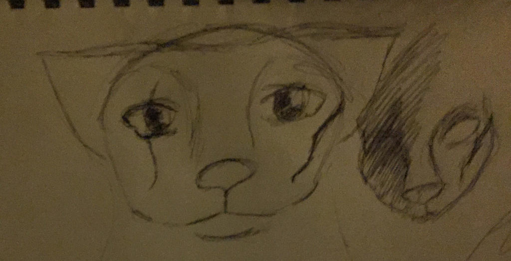 Dat2x Face Dat face by tigerlover22 on DeviantArt