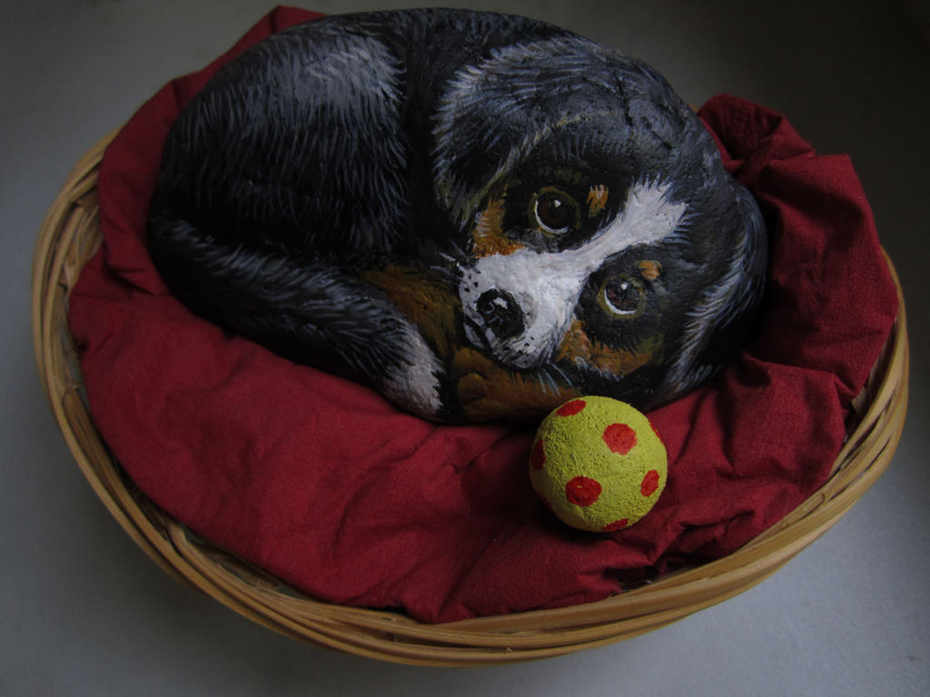 Hund im Koerbchen
