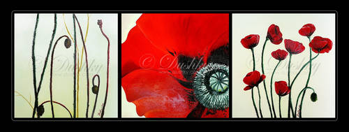poppy flowers triptych